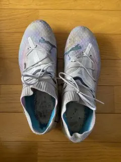 Item thumbnail for item 561cb418-c884-466d-ada2-db4c8c5bb61b