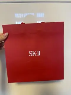 ★SK-II ショップ袋 巾着袋 セット