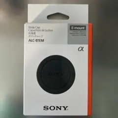 Item thumbnail for item f20c7a0d-b647-4a65-a437-9361d9a45238