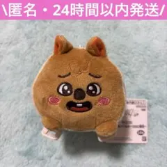 GiGO限定 SKZOO くっつきぬいぐるみ HAN QUOKKA ハンクワッカ