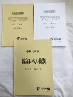 浜学園小6最高レベル特訓問題集 浜学園 最高レベル特訓 算数 小6 中学受験 - メルカリ