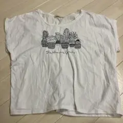 one's terrace サボテン刺繍 Tシャツ