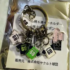 【スワポン】6連ユニホーム型キーホルダー　丸山翔太