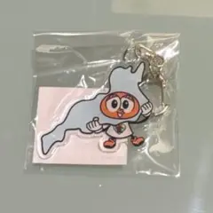 【新品未開封】超ときめき♡宣伝部 パブりん ご当地キーホルダー 滋賀
