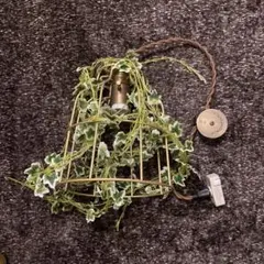 Item thumbnail for item 094fee00-205e-4026-b933-6e0b71a12155