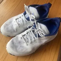 Mizuno ミズノ ウェーブトランジスタ 25cmのサムネイル