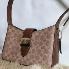 【極美品レア】COACH コーチ ワンショルダーバッグ 茶 シグネチャー