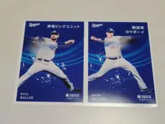 中日ドラゴンズ 竜ブロマイド6