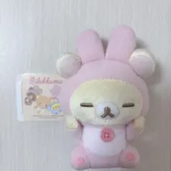 チャイロイコグマ ぬいぐるみ