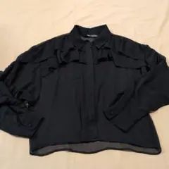 ZARA　シアーフリルブラウスのサムネイル