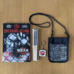 朝倉未来 スポーツ選手