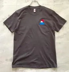 刺繍 富士山 Ｔシャツ グレー