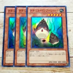 ナチュルバンブーシュート