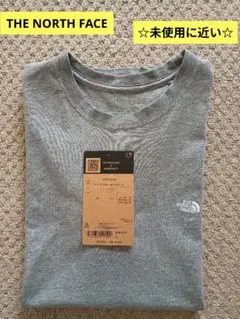 THE NORTH FACE NTW32534 スモールロゴコットンティー XL