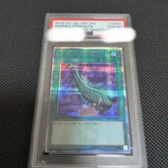 ハーピィの羽根帚 PSA10