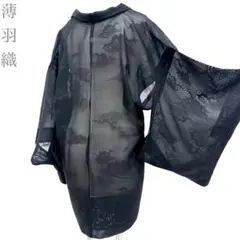 着物と帯 時流】ハ26609◇正絹 薄羽織◇薄物 夏物 紋入 紗 - メルカリ