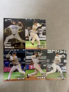 カルビー2026プロ野球チップス　カード