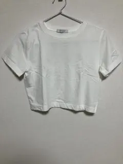 JEANASIS ジーナシス クロップド丈 半袖Tシャツ フリー ホワイト 白