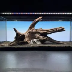 MRW-7460 特大自立赤系流木　1点物　自立流木　一点物90cm水槽用 MRW-7460 特大自立赤系流木 1点物 自立流木 一点物90cm水槽用 - メルカリ