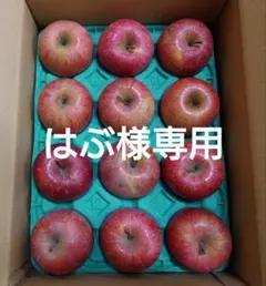 【はぶ様専用】