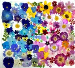 Item thumbnail for item 77d0fd04-85e6-4bf4-8d45-f284abd483da