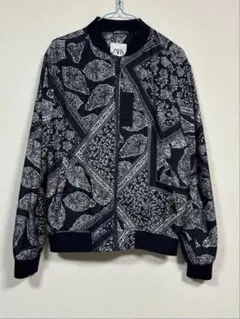 Item thumbnail for item 9312c027-d91f-4b76-8e08-6efc8f66b18c