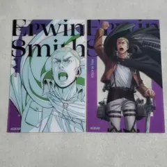 進撃の巨人　描き下ろしトレーディングクリアカード　エルヴィン　2枚