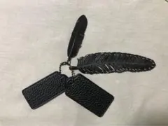 Item thumbnail for item 9d9a195d-590e-46a9-b363-7a9c1f54c53f