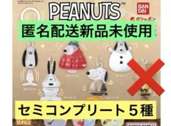 セミコンプリート５種PEANUTS めじるしアクセサリー FUNNY ver.