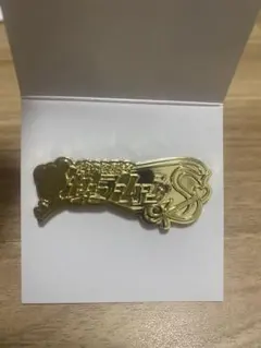 セーラームーン　ピンバッジ