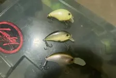 Item thumbnail for item 53163895-0eb2-4bfb-b00c-5e3330ed4ac9