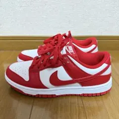 ナイキダンク LOW ネクトトネイチャー　ウィメンズ 23.5cm