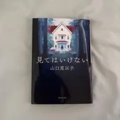 見てはいけない 山口恵以子