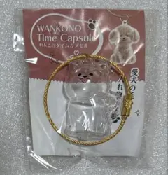 わんこのタイムカプセル　ラテ