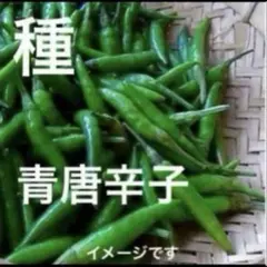 なっちゃん様 リクエスト 2点 まとめ商品