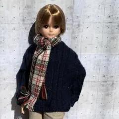 再販ハルトくん　リカちゃんボーイフレンドYMY25ボディ　セーター（ネイビー）