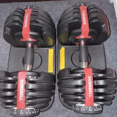 BOWFLEX ボウフレックス 可変式ダンベル 24kg×2 引取歓迎 動作良好 