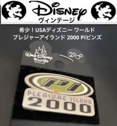 希少レアピンズ！ディズニー ワールドプレジャーアイランド 2000 PIピンズ