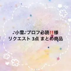 ♪小雪♪プロフ必読‼️様 リクエスト 3点 まとめ商品