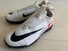 Item thumbnail for item f01e9991-ddfc-4ede-b3a2-ae6b182e904f