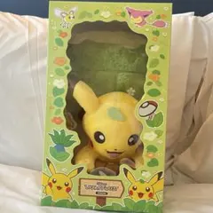 ポケモン 韓国 シークレットフォレスト ピカチュウ アーバンフォレスト