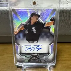 Item thumbnail for item e516d845-fe13-4550-86ec-21f046c5f461