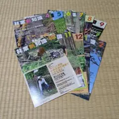 ビリー様 リクエスト 2点 まとめ商品