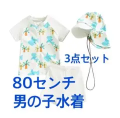 TEMU クジラデザイン水着セット　80
