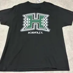 ハワイ　tシャツ 半袖　学校T 大学　高校　tシャツ　Lサイズ