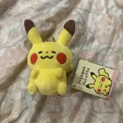 美品】ピカチュウ ぬいぐるみ カナヘイ コラボ yurutto - メルカリ