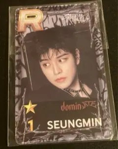 Stray Kids SSJYP dominATE SEOUL SEUNGMIN