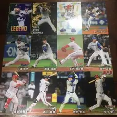 プロ野球チップスカード　カルビー　2025