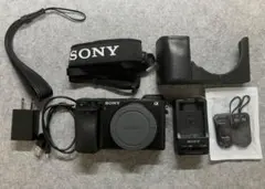 SONY α7 II ボディ ILCE-7M2 （シャッター回数15,310回） - メルカリ