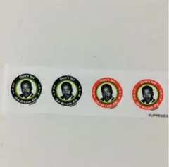 MLK Don't Let The Dream Die Mini Sticker